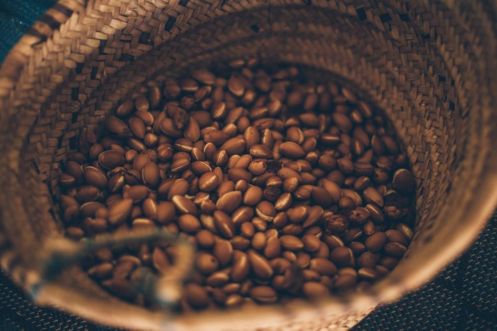 Morrocan argan nuts in a basket